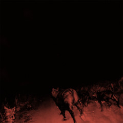 Bambara - Shadow on Everything, LP (White vinyl)