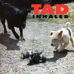 TAD - Inhaler, LP